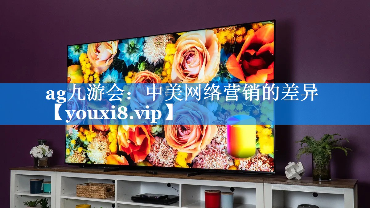 中美网络营销的差异