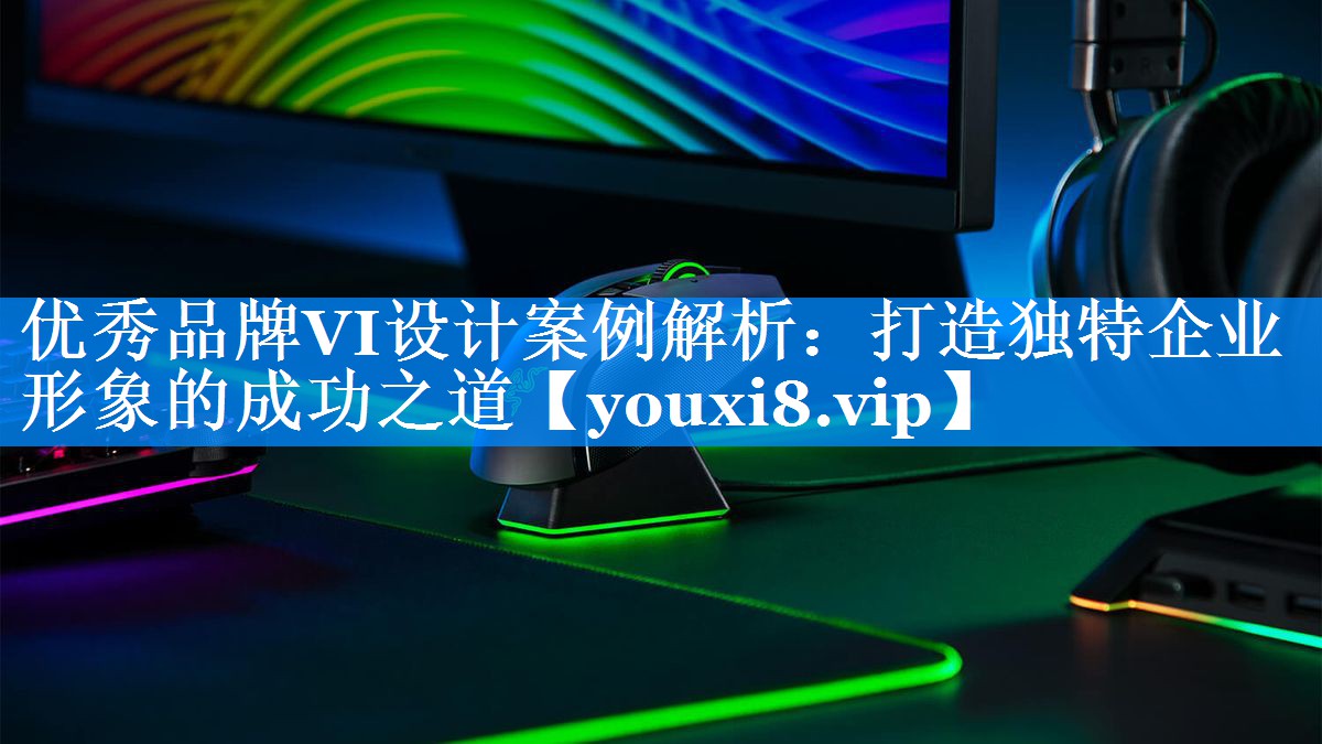 优秀品牌VI设计案例解析：打造独特企业形象的成功之道