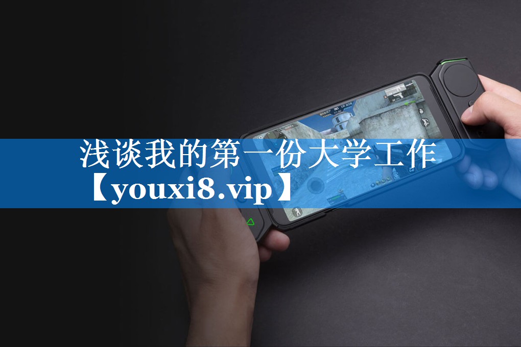 浅谈我的第一份大学工作